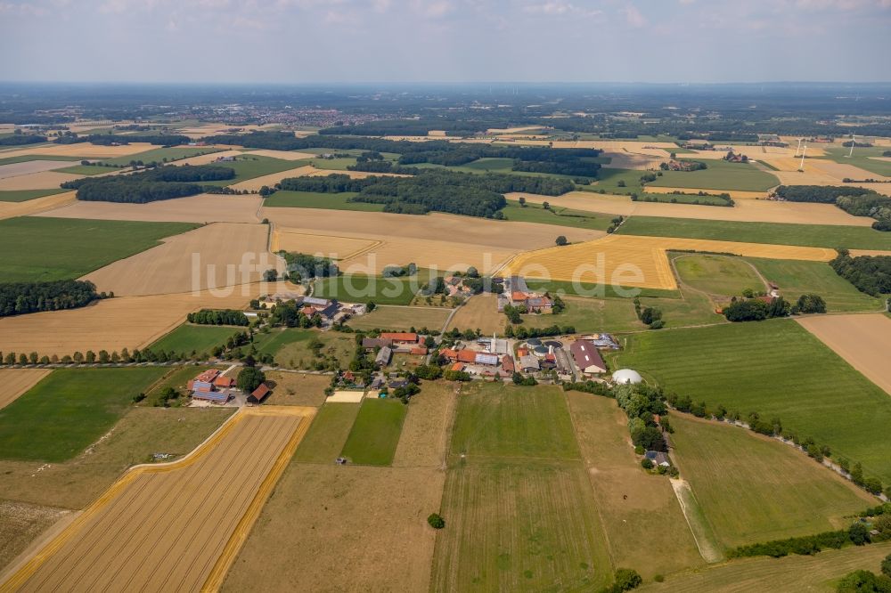 Everswinkel von oben - Firmengelände der Pünings Hühner KG Versmar in Everswinkel im Bundesland Nordrhein-Westfalen, Deutschland