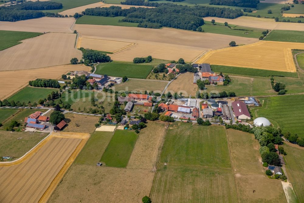 Everswinkel aus der Vogelperspektive: Firmengelände der Pünings Hühner KG Versmar in Everswinkel im Bundesland Nordrhein-Westfalen, Deutschland