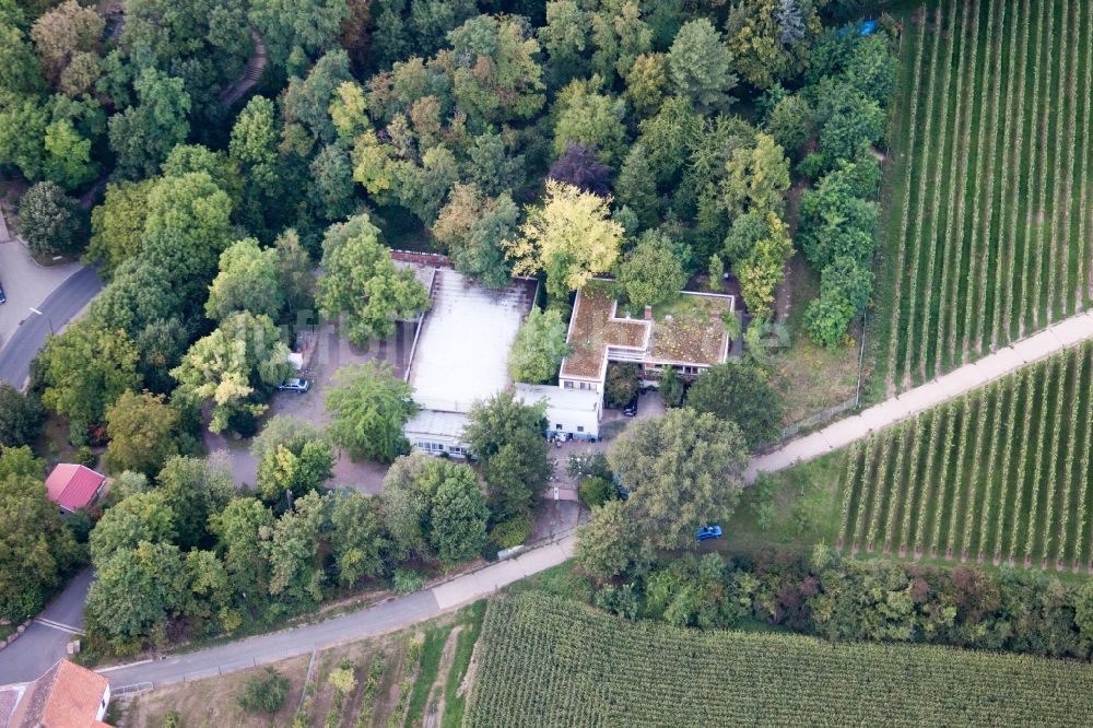 Landau in der Pfalz von oben - Firmengelände der SEKA Schutzbelüftung GmbH im Ortsteil Wollmesheim in Landau in der Pfalz im Bundesland Rheinland-Pfalz, Deutschland