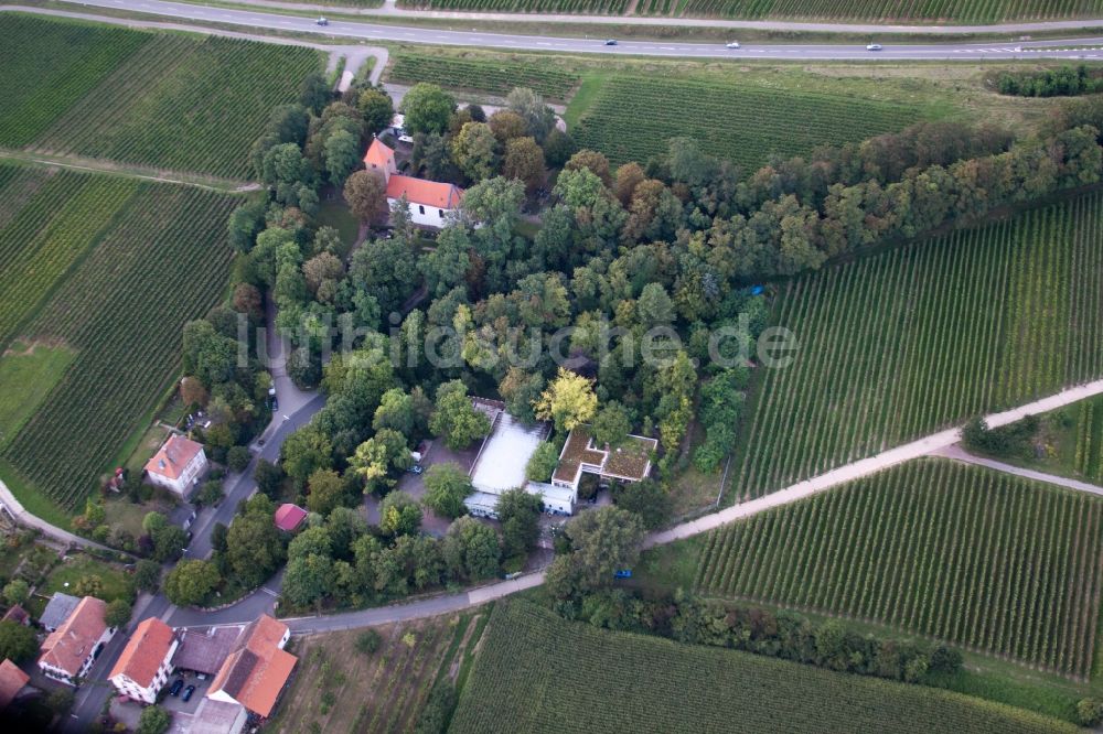 Landau in der Pfalz aus der Vogelperspektive: Firmengelände der SEKA Schutzbelüftung GmbH im Ortsteil Wollmesheim in Landau in der Pfalz im Bundesland Rheinland-Pfalz, Deutschland