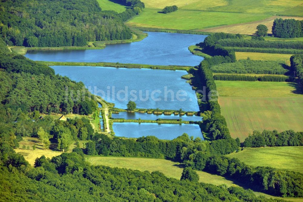 Möckern aus der Vogelperspektive: Fischteich bei Möckern in Sachsen - Anhalt