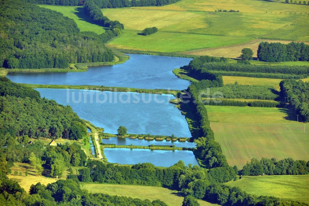 Luftbild Möckern - Fischteich bei Möckern in Sachsen - Anhalt