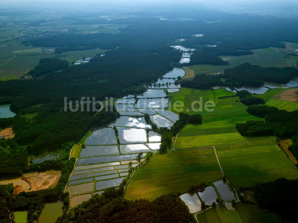 Luftaufnahme Forchheim - Fischteiche in Forchheim im Bundesland Bayern