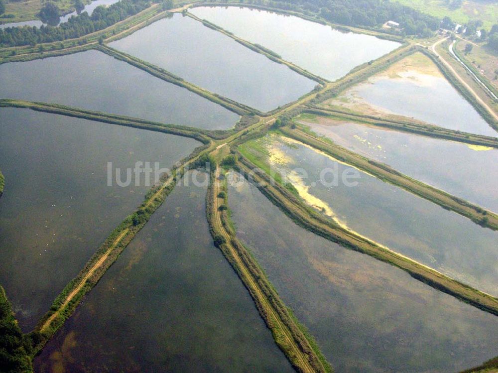 Lübben (Brandenburg) von oben - Fischteiche Lubolz bei Lübben