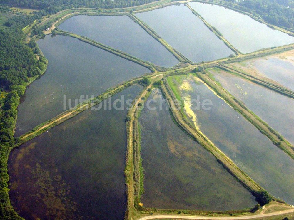 Lübben (Brandenburg) aus der Vogelperspektive: Fischteiche Lubolz bei Lübben