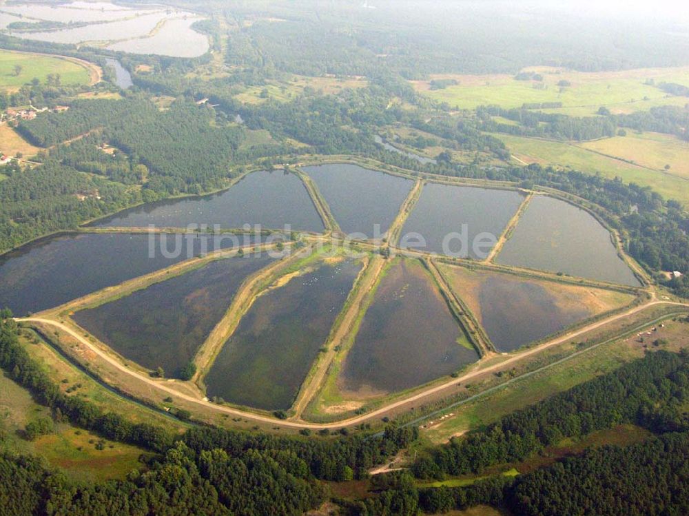 Luftaufnahme Lübben (Brandenburg) - Fischteiche Lubolz bei Lübben