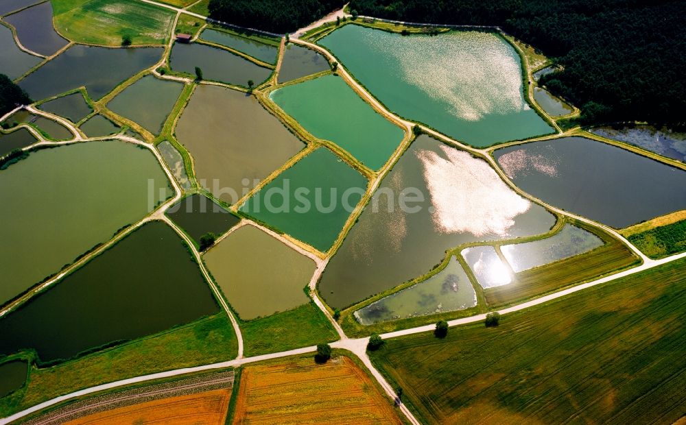 Luftaufnahme Uehlfeld - Fischteiche und Weiher in Uehlfeld im Bundesland Bayern