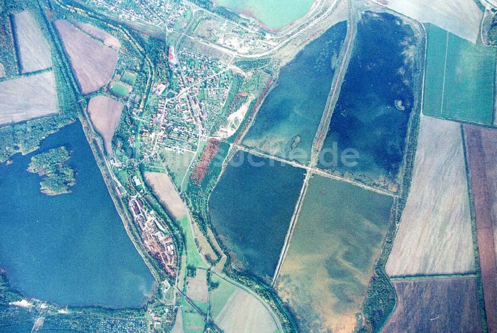 Wittichenau / Sachsen aus der Vogelperspektive: Fischzuchteichanlagen bei Lohsa / Sachsen.