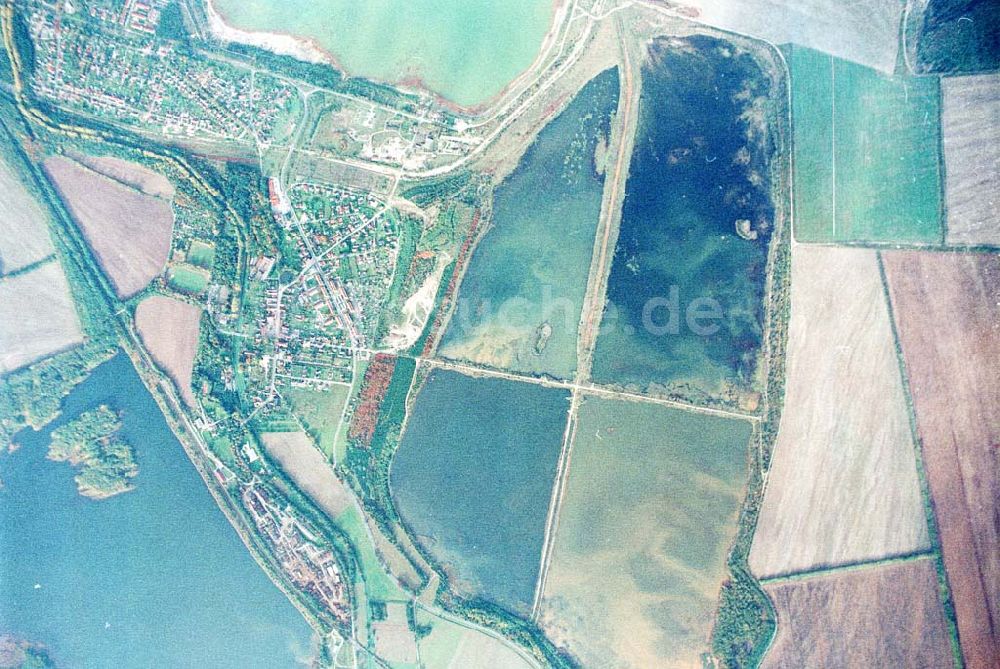 Wittichenau / Sachsen aus der Vogelperspektive: Fischzuchteichanlagen bei Lohsa / Sachsen.