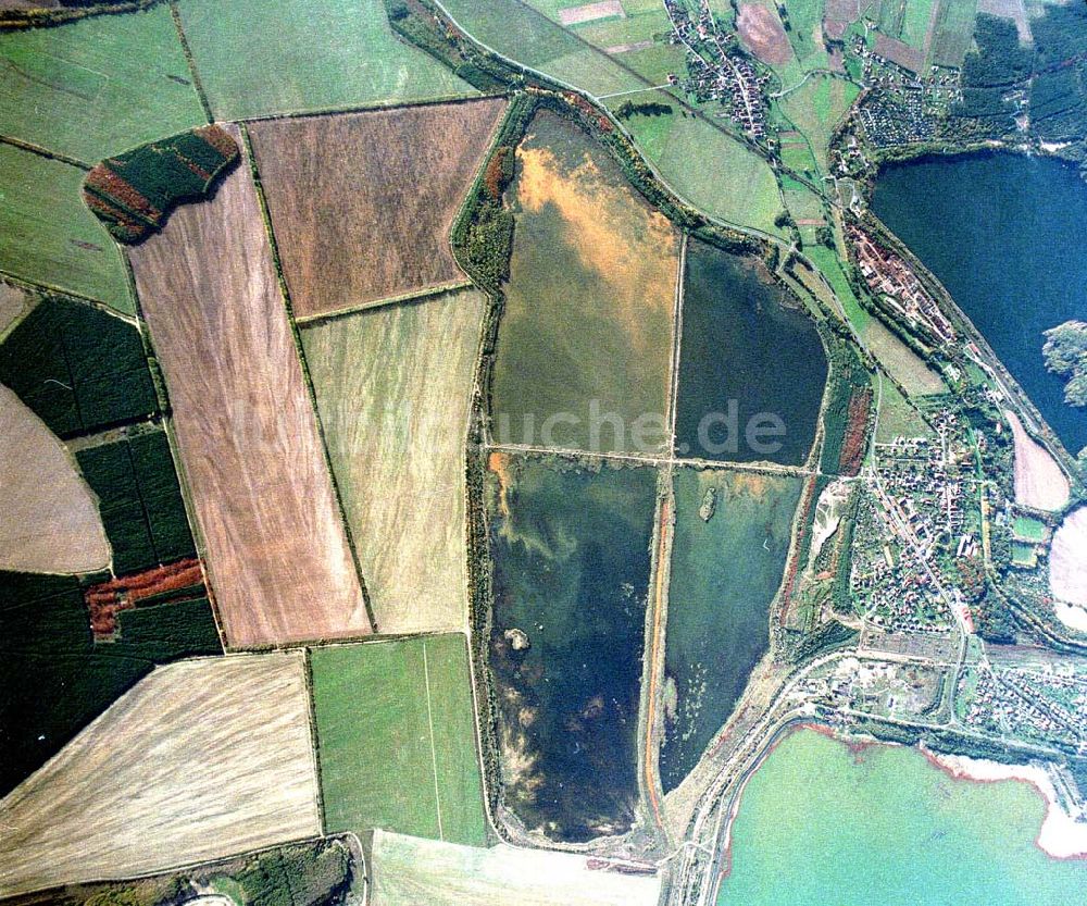 Lohsa / Sachsen aus der Vogelperspektive: Fischzuchteichanlagen bei Lohsa / Sachsen.