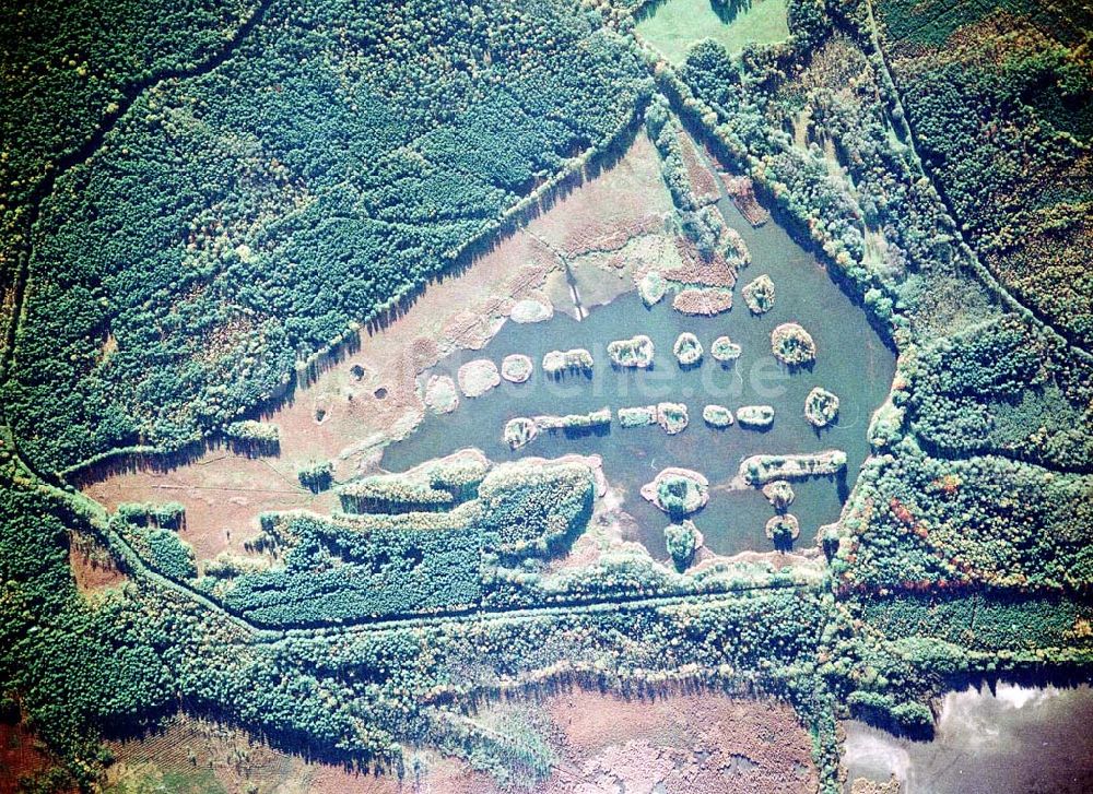 Quolsdorf / Sachsen aus der Vogelperspektive: Fischzuchteichanlagen bei Quolsdorf / Sachsen.