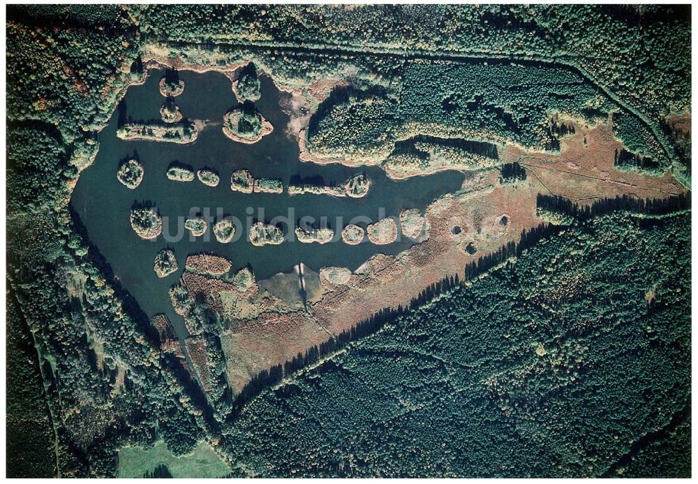 Luftbild Quolsdorf / Sachsen - Fischzuchteichanlagen bei Quolsdorf / Sachsen.