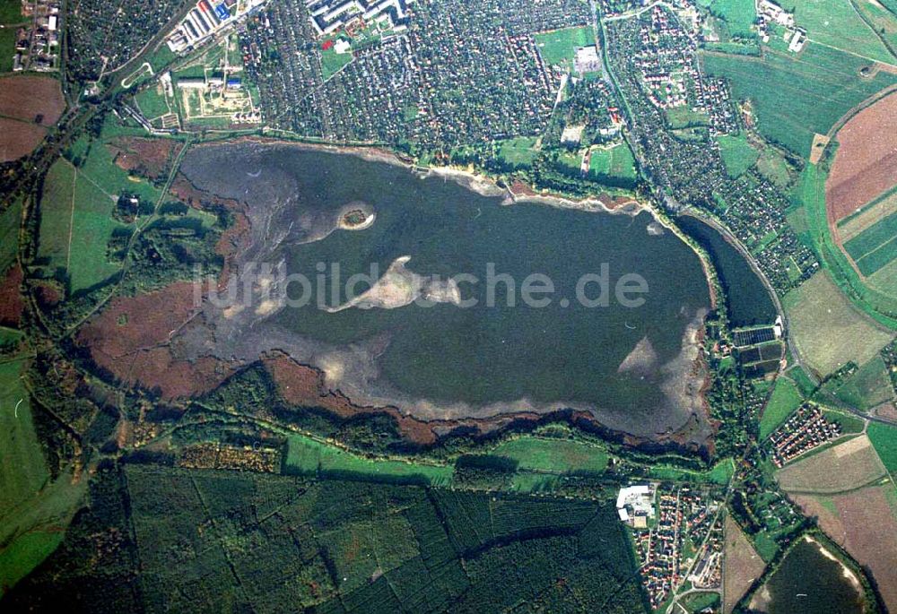 Torgau / Sachsen von oben - Fischzuchteichanlagen auf dem Großen Teich in Torgau / Sachsen (Ausschnitt mit 35mm Optik).