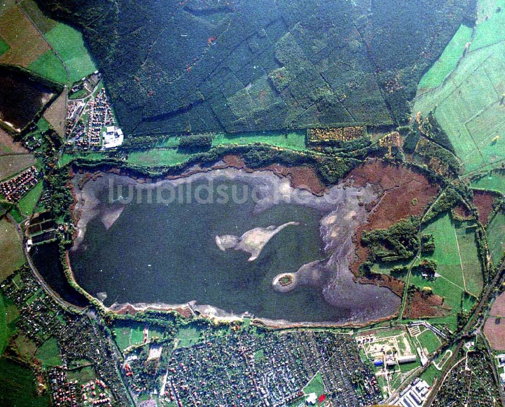 Luftbild Torgau / Sachsen - Fischzuchteichanlagen auf dem Großen Teich in Torgau / Sachsen (Ausschnitt mit 35mm Optik).