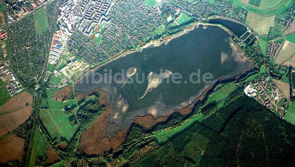 Luftaufnahme Torgau / Sachsen - Fischzuchteichanlagen auf dem Großen Teich in Torgau / Sachsen (Ausschnitt mit 35mm Optik).