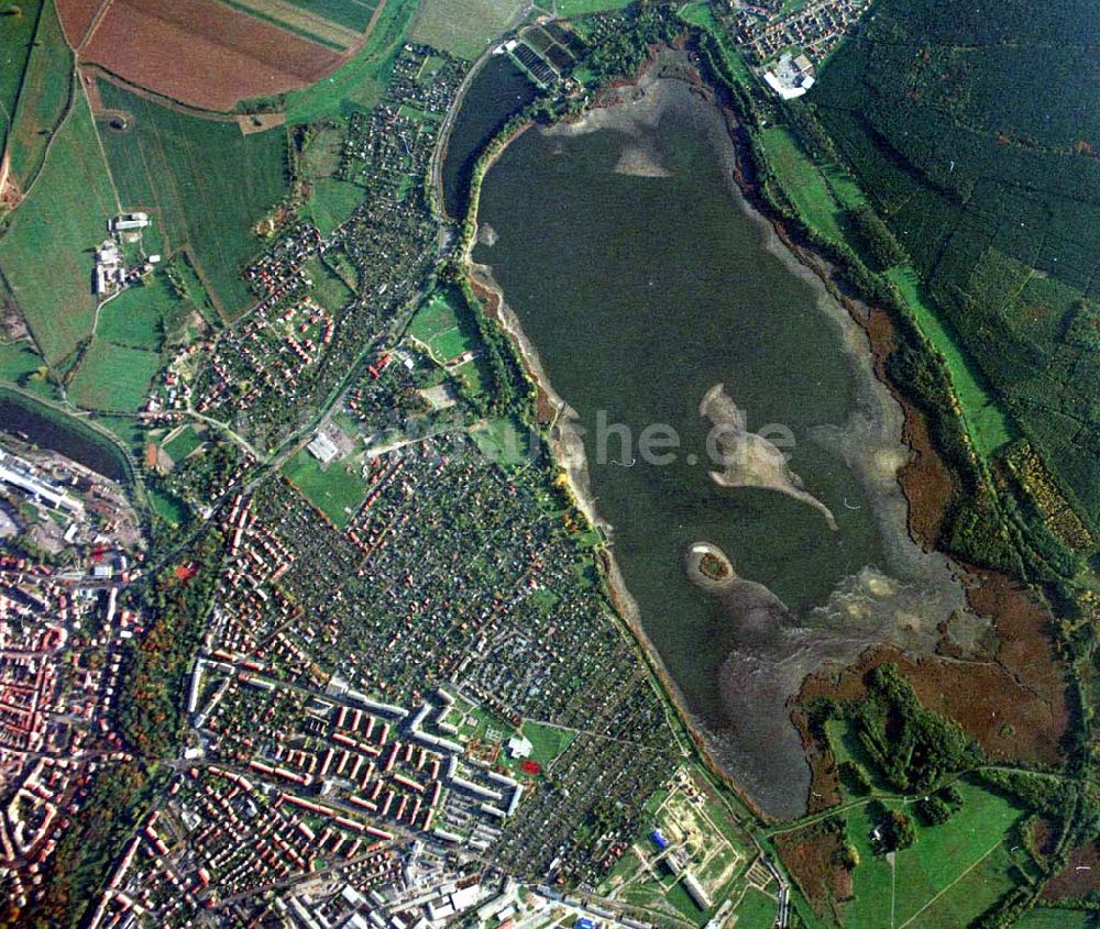 Luftaufnahme Torgau / Sachsen - Fischzuchteichanlagen auf dem Großen Teich in Torgau / Sachsen (Ausschnitt mit 35mm Optik aus 9800 ft MSL).