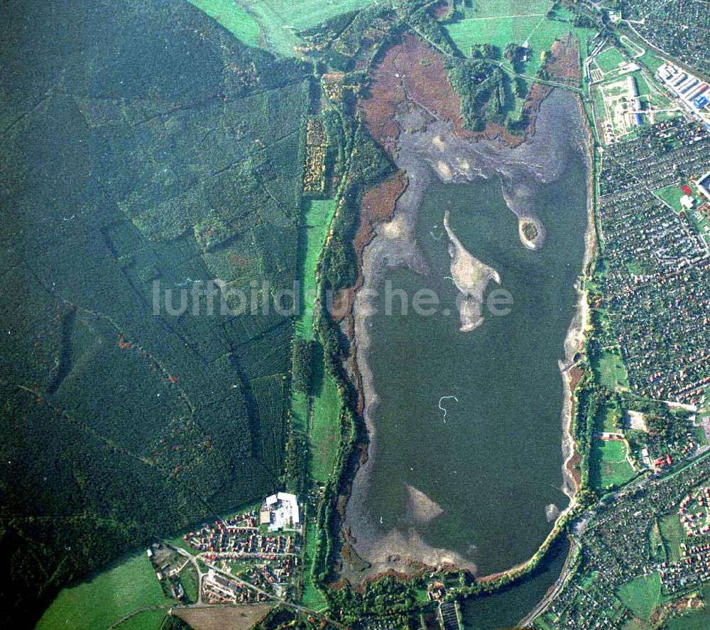 Luftaufnahme Torgau / Sachsen - Fischzuchteichanlagen auf dem Großen Teich in Torgau / Sachsen (Ausschnitt mit 35mm Optik aus 9800 ft MSL).