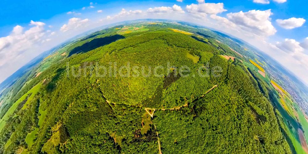 Nieheim von oben - Fish Eye- Perspektive Forstgebiete in einem Waldgebiet Hinnenburger Forst in Nieheim im Bundesland Nordrhein-Westfalen, Deutschland