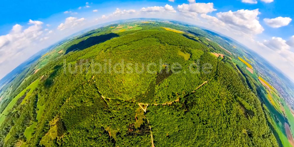 Nieheim aus der Vogelperspektive: Fish Eye- Perspektive Forstgebiete in einem Waldgebiet Hinnenburger Forst in Nieheim im Bundesland Nordrhein-Westfalen, Deutschland