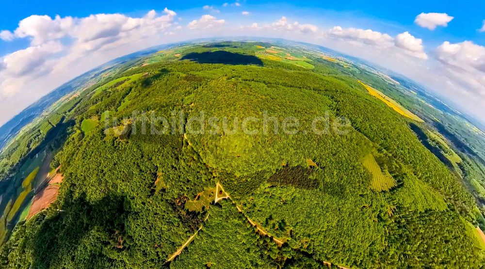 Luftbild Nieheim - Fish Eye- Perspektive Forstgebiete in einem Waldgebiet Hinnenburger Forst in Nieheim im Bundesland Nordrhein-Westfalen, Deutschland