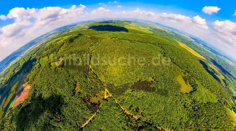 Luftaufnahme Nieheim - Fish Eye- Perspektive Forstgebiete in einem Waldgebiet Hinnenburger Forst in Nieheim im Bundesland Nordrhein-Westfalen, Deutschland