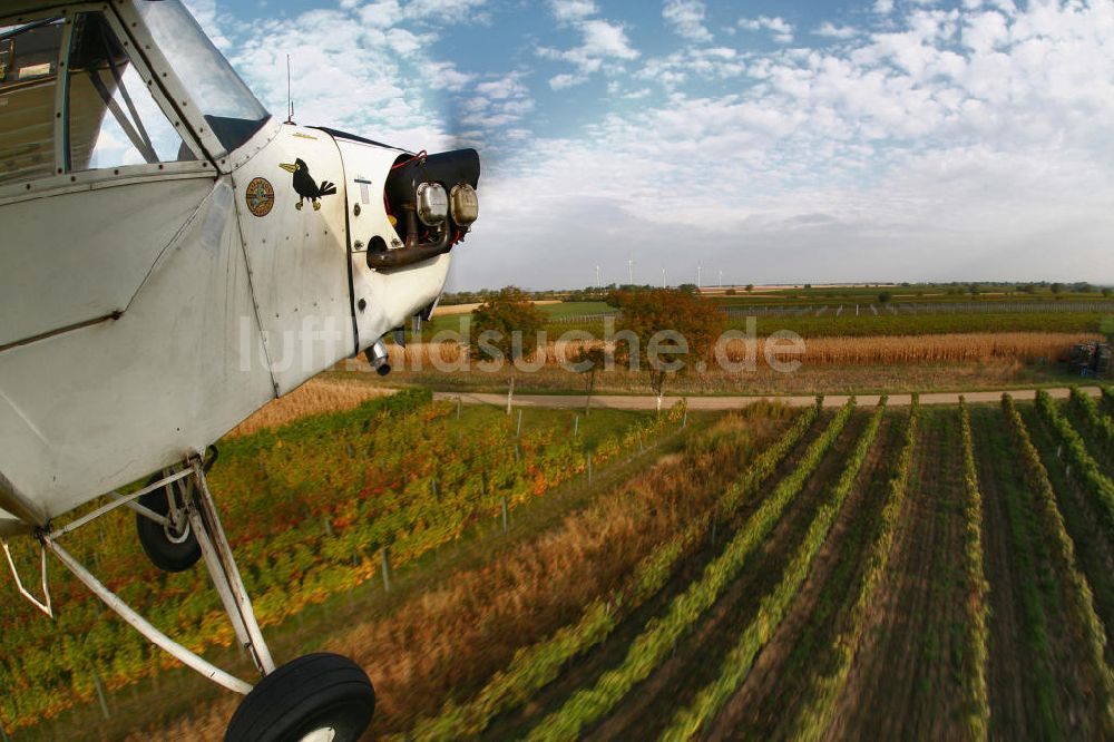 Luftaufnahme Großwarasdorf - Flugzeug vom Typ Piper J-3 Cup nahe dem Flugplatz Großwarasdorf in Österreich