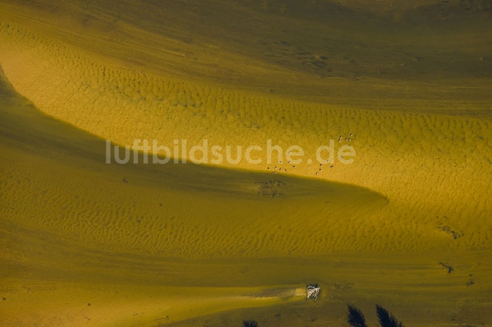 Luftaufnahme Wesel - Fluß- Delta und Strom- Mündung zwischen Lippemündung und Rhein im Ortsteil Lippedorf in Wesel im Bundesland Nordrhein-Westfalen, Deutschland