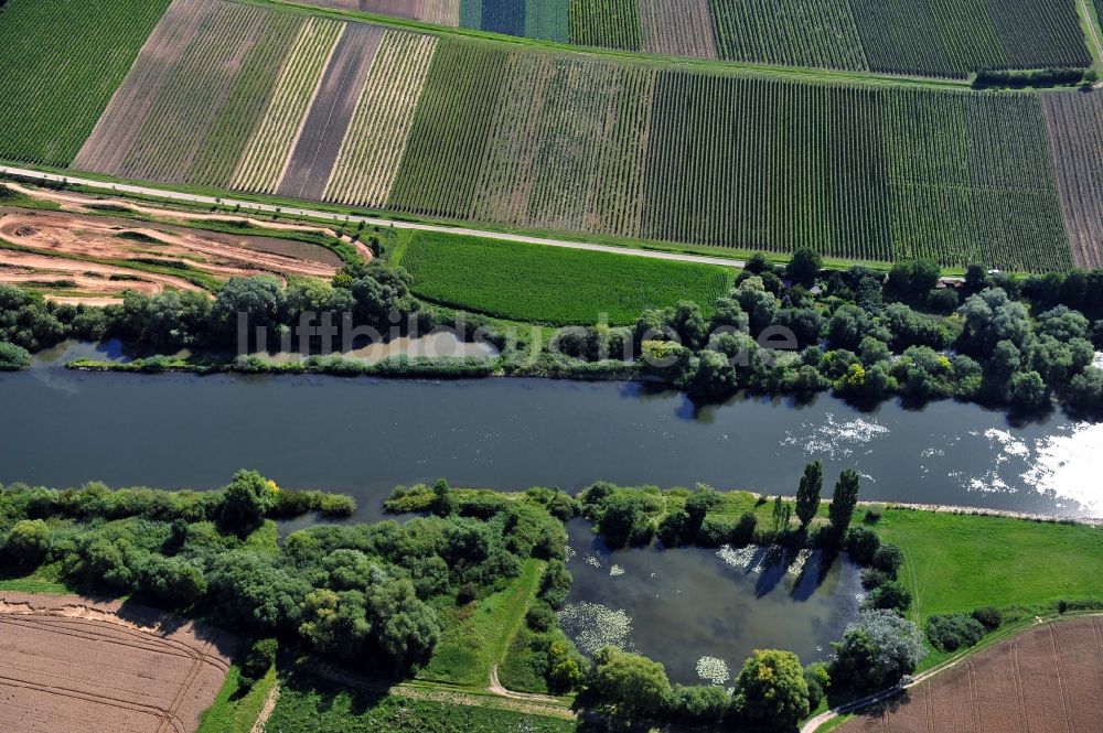 Dettelbach aus der Vogelperspektive: Flussverlauf des Main bei Dettelbach im Bundesland Bayern