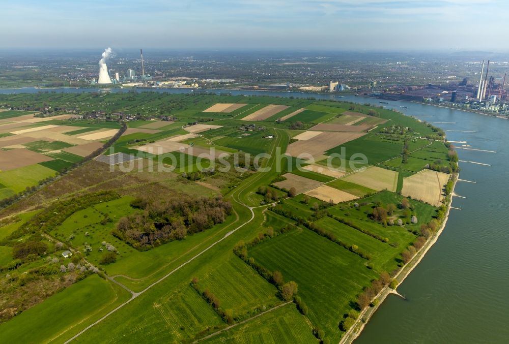 Duisburg, Baerl aus der Vogelperspektive: Flutungs- Wiesenlandschaft am Ufer des Rhein bei Baerl in Duisburg im Bundesland Nordrhein-Westfalen