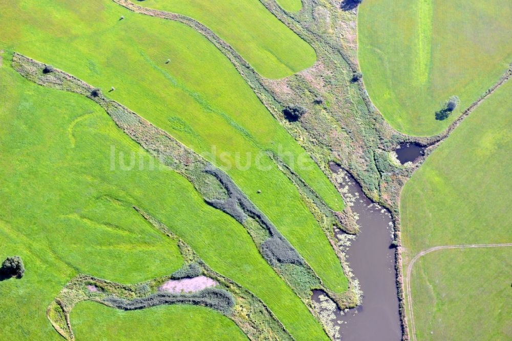 Wittenberg von oben - Flutungswiesen der Elbe in Lutherstadt Wittenberg im Bundesland Sachsen-Anhalt