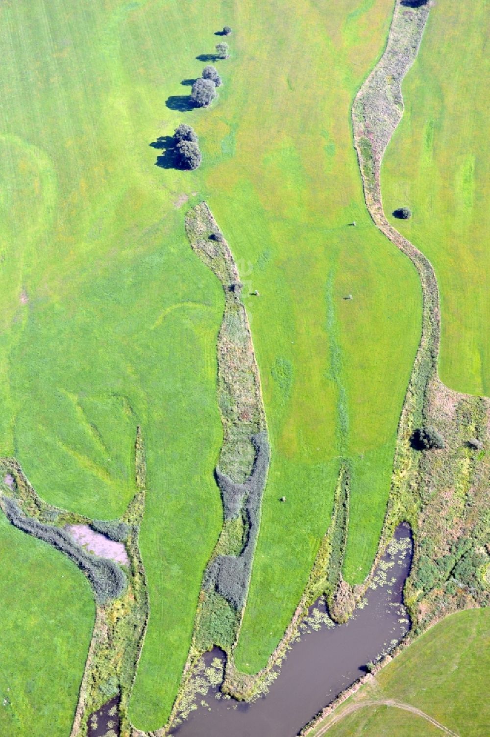 Luftbild Wittenberg - Flutungswiesen der Elbe in Lutherstadt Wittenberg im Bundesland Sachsen-Anhalt