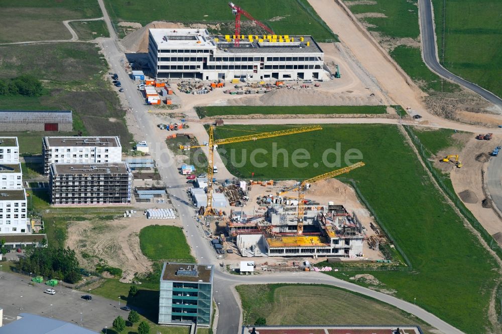 Freiburg im Breisgau aus der Vogelperspektive: Forschungs- Gebäude und Bürokomplex Institute for Machine-Brain Interfacing Technology in Freiburg im Breisgau im Bundesland Baden-Württemberg, Deutschland