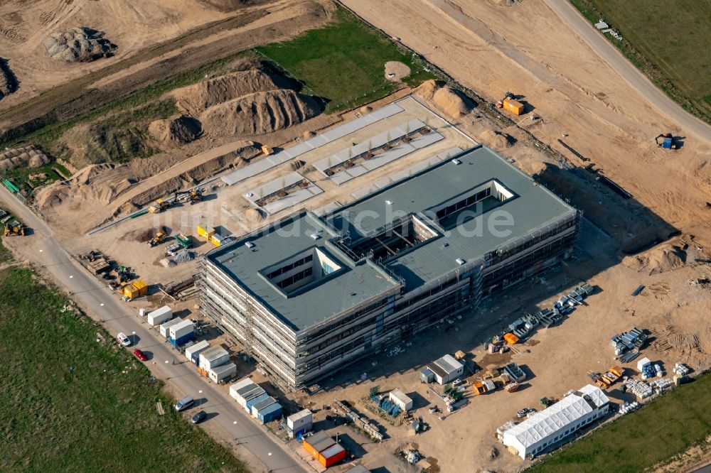 Freiburg im Breisgau aus der Vogelperspektive: Forschungs- Gebäude und Bürokomplex Institute for Machine-Brain Interfacing Technology in Freiburg im Breisgau im Bundesland Baden-Württemberg, Deutschland