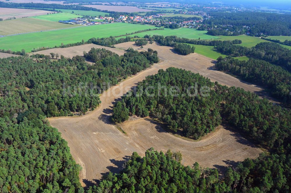 Großkmehlen aus der Vogelperspektive: Forstgebiete in einem Waldgebiet mit abgeernteten Getreidefeldern in Großkmehlen im Bundesland Brandenburg, Deutschland