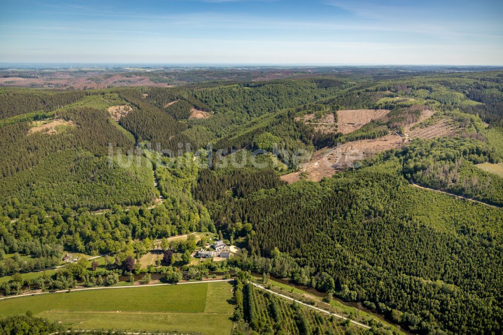 Arnsberg von oben - Forstgebiete in einem Waldgebiet in Arnsberg im Bundesland Nordrhein-Westfalen, Deutschland