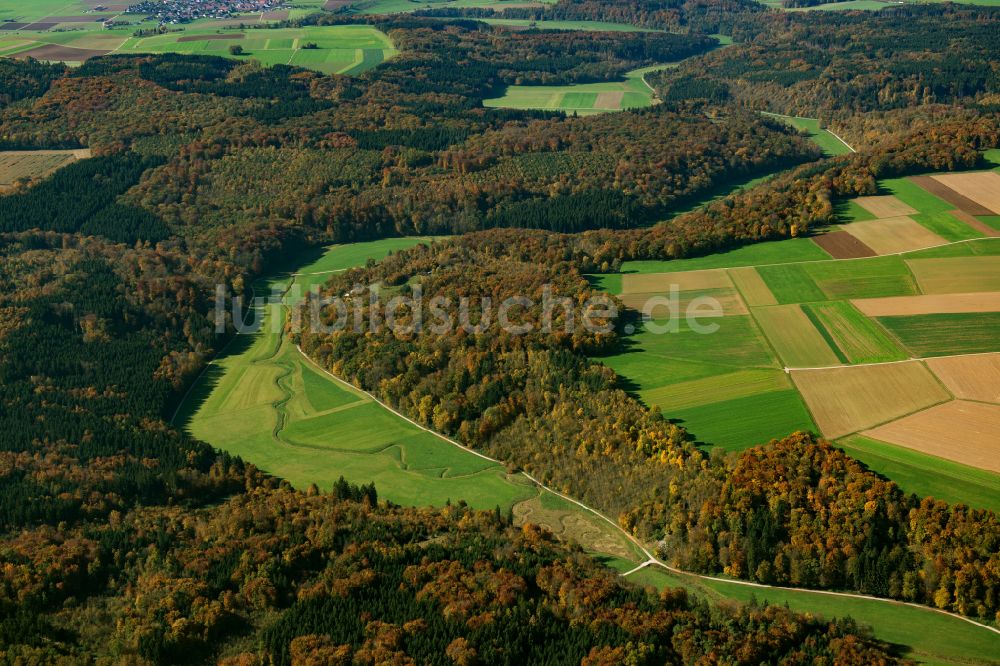 Luftaufnahme Asselfingen - Forstgebiete in einem Waldgebiet in Asselfingen im Bundesland Baden-Württemberg, Deutschland