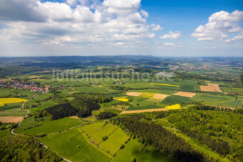 Bad Driburg von oben - Forstgebiete in einem Waldgebiet in Bad Driburg im Bundesland Nordrhein-Westfalen, Deutschland