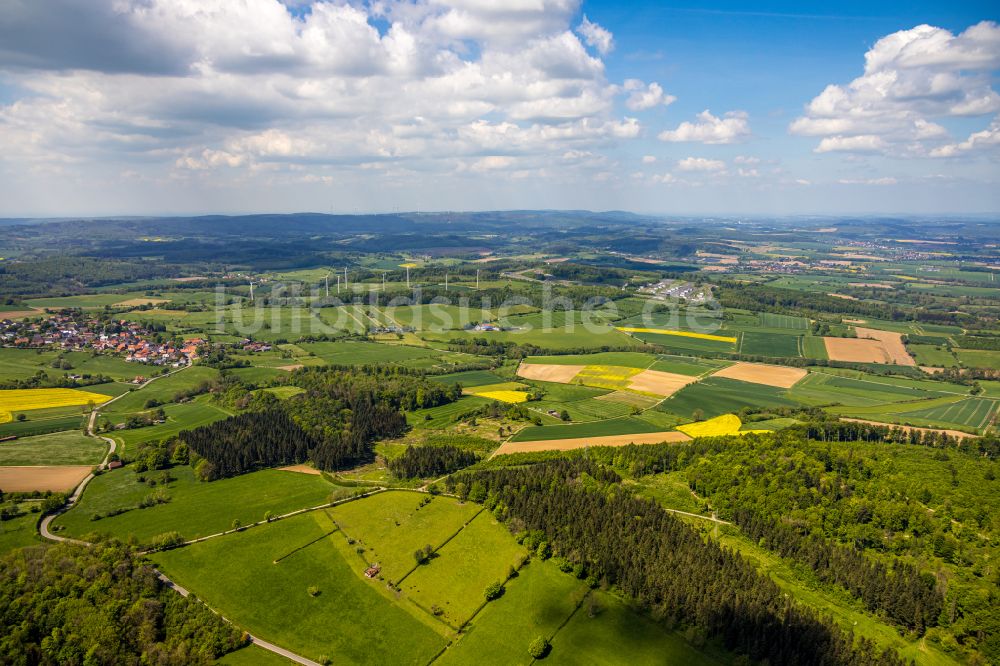 Luftbild Bad Driburg - Forstgebiete in einem Waldgebiet in Bad Driburg im Bundesland Nordrhein-Westfalen, Deutschland