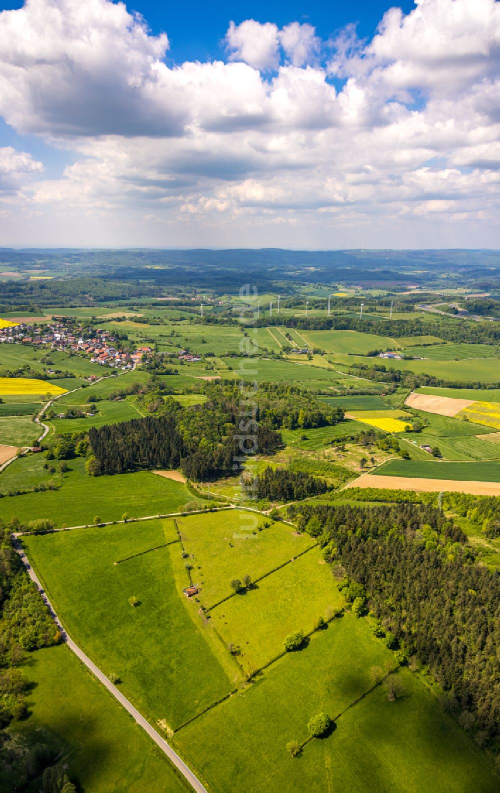 Luftaufnahme Bad Driburg - Forstgebiete in einem Waldgebiet in Bad Driburg im Bundesland Nordrhein-Westfalen, Deutschland