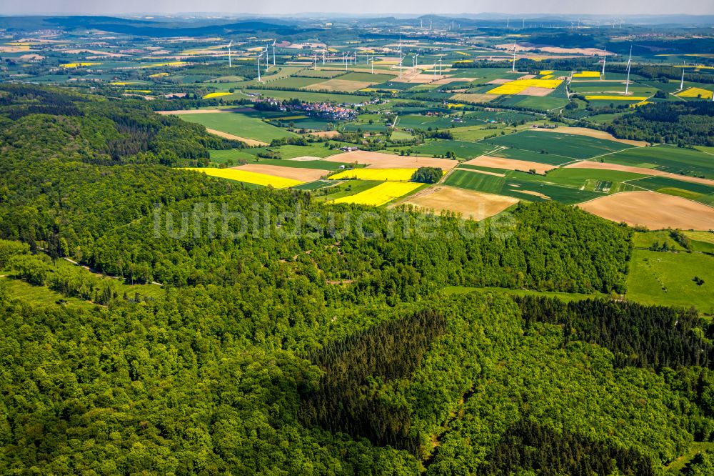 Luftaufnahme Bad Driburg - Forstgebiete in einem Waldgebiet in Bad Driburg im Bundesland Nordrhein-Westfalen, Deutschland