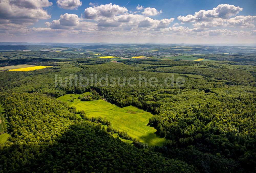 Bad Driburg aus der Vogelperspektive: Forstgebiete in einem Waldgebiet in Bad Driburg im Bundesland Nordrhein-Westfalen, Deutschland