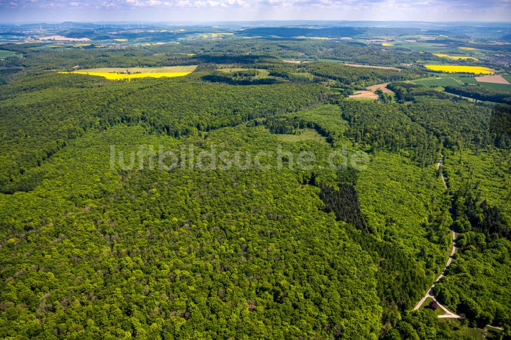 Luftbild Bad Driburg - Forstgebiete in einem Waldgebiet in Bad Driburg im Bundesland Nordrhein-Westfalen, Deutschland