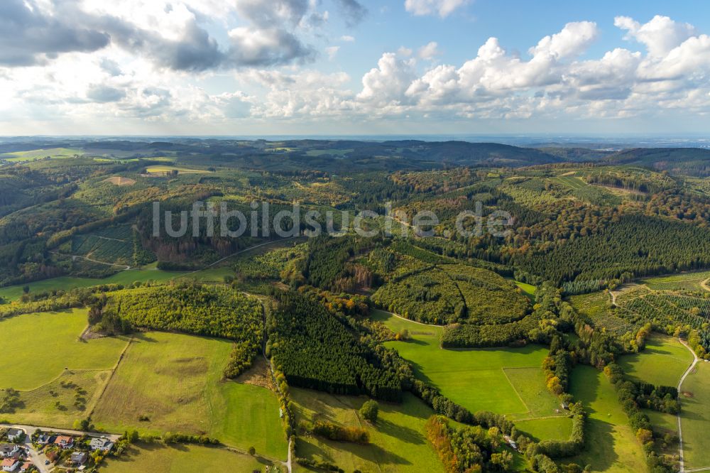 Balve von oben - Forstgebiete in einem Waldgebiet in Balve im Bundesland Nordrhein-Westfalen, Deutschland