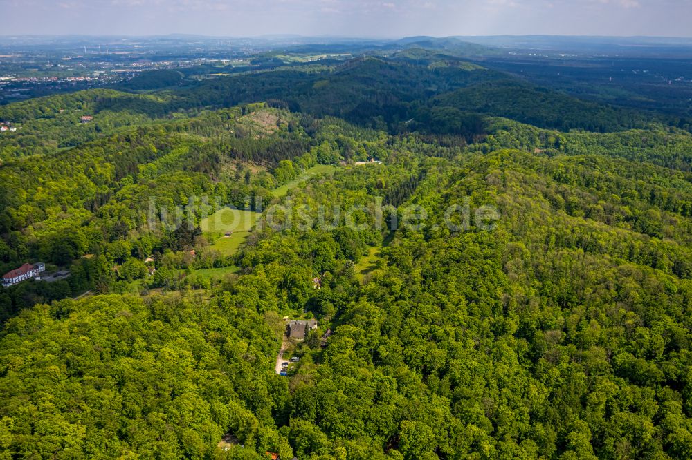 Bielefeld aus der Vogelperspektive: Forstgebiete in einem Waldgebiet in Bielefeld im Bundesland Nordrhein-Westfalen, Deutschland