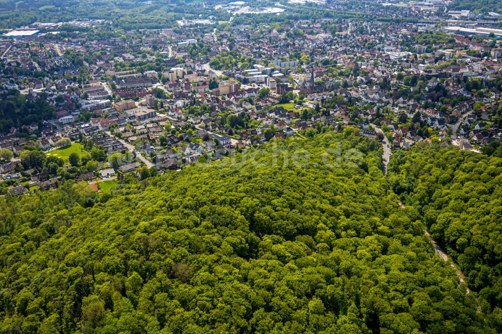 Bielefeld von oben - Forstgebiete in einem Waldgebiet in Bielefeld im Bundesland Nordrhein-Westfalen, Deutschland