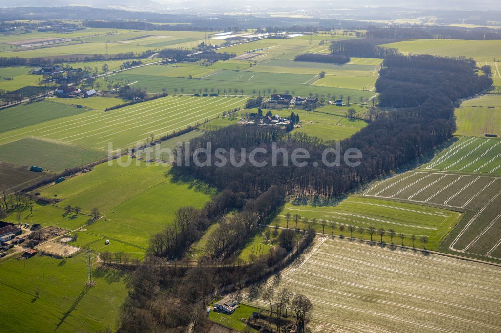 Luftaufnahme Billmerich - Forstgebiete in einem Waldgebiet Bornekamptal bei Billmerich im Bundesland Nordrhein-Westfalen, Deutschland