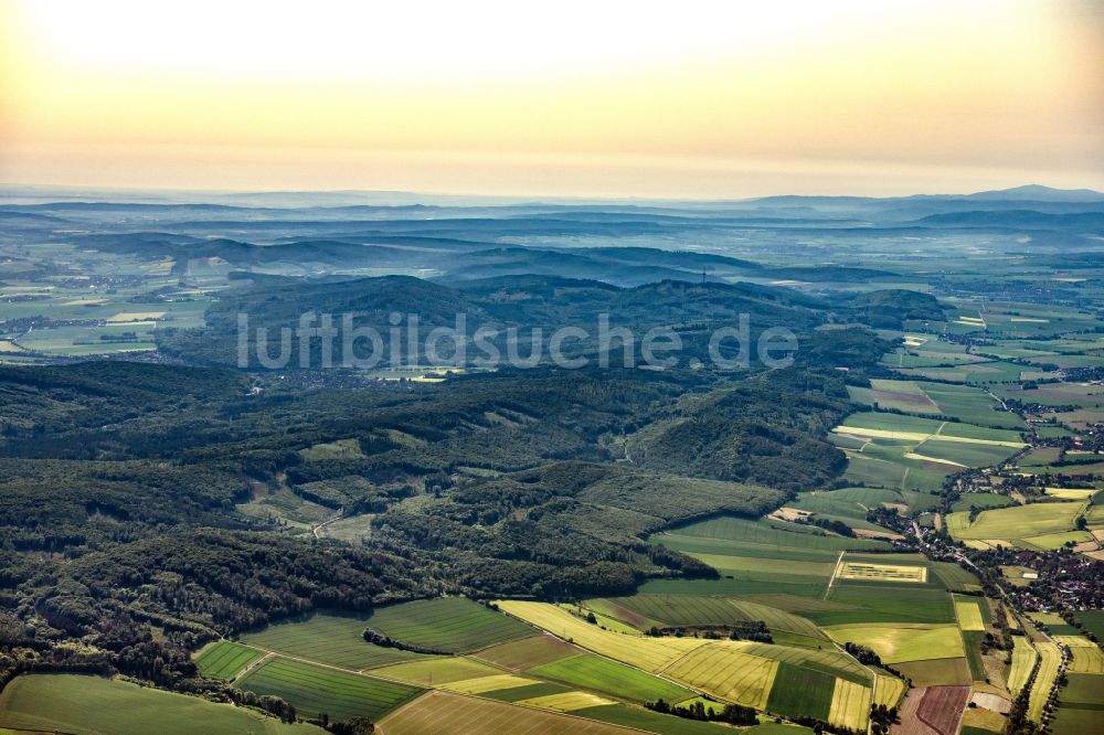 Luftbild Despetal - Forstgebiete in einem Waldgebiet in Despetal im Bundesland Niedersachsen, Deutschland