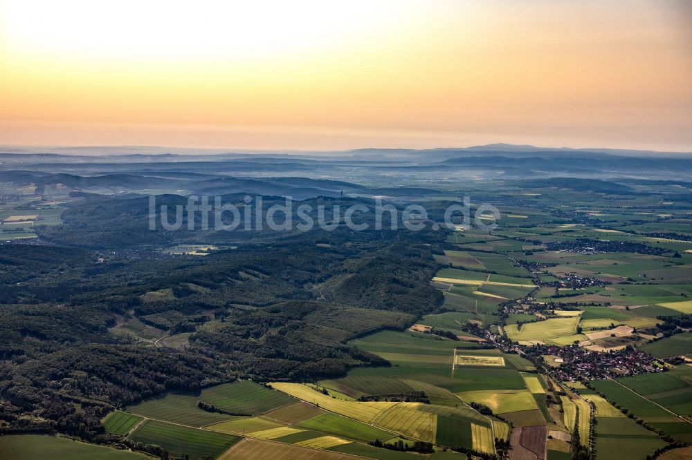 Luftaufnahme Despetal - Forstgebiete in einem Waldgebiet in Despetal im Bundesland Niedersachsen, Deutschland