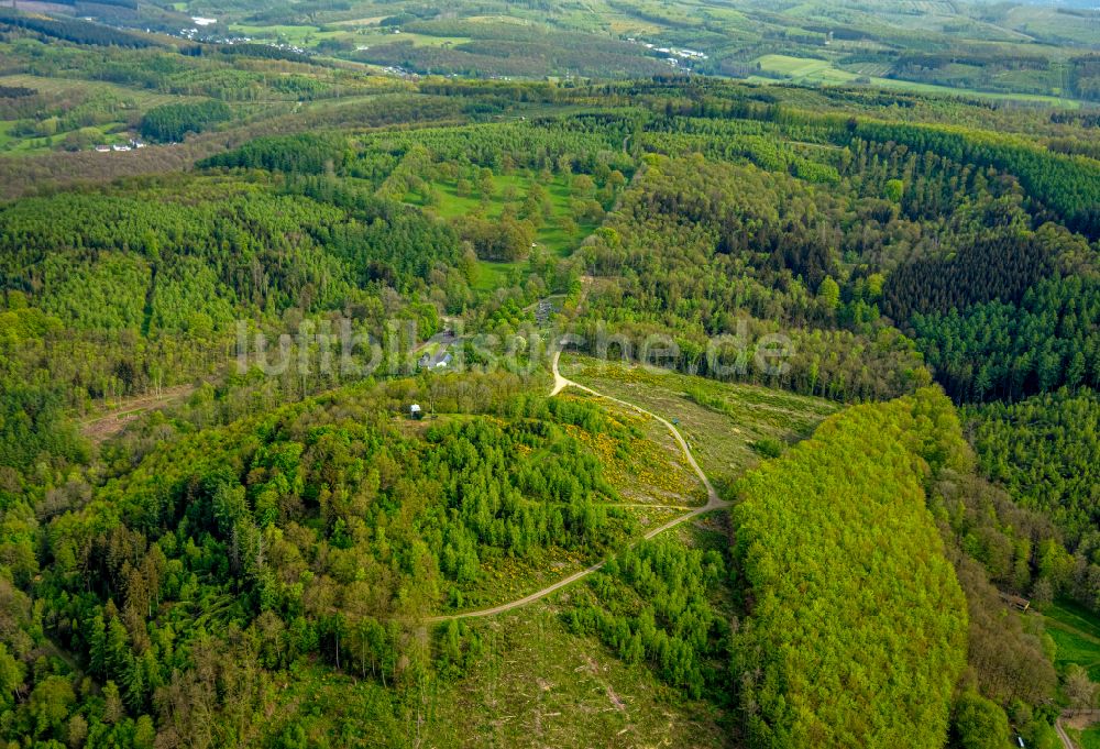 Luftaufnahme Eisern - Forstgebiete in einem Waldgebiet in Eisern im Bundesland Nordrhein-Westfalen, Deutschland