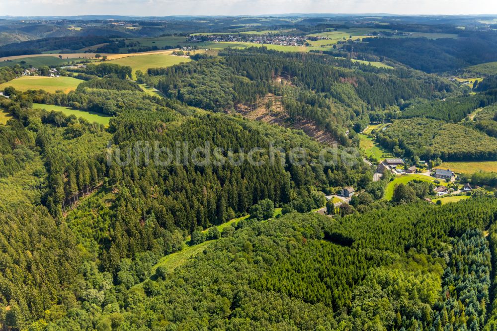 Ennepetal aus der Vogelperspektive: Forstgebiete in einem Waldgebiet in Ennepetal im Bundesland Nordrhein-Westfalen, Deutschland